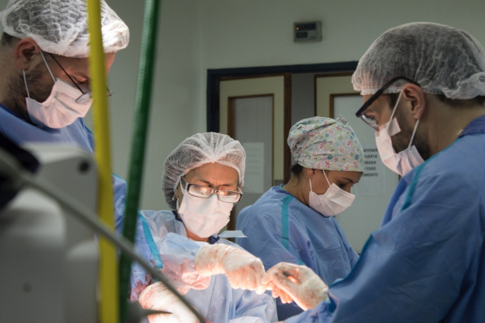 Récord histórico de donación de órganos y un fuerte trabajo de la red Bonaerense