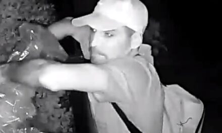 Robo en otro barrio cerrado de Hudson: Vecinos enojados con la seguridad por no informar