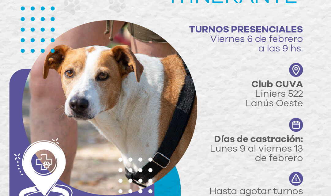 El gobierno de Lanús sigue realizando castraciones gratuitas por los barrios