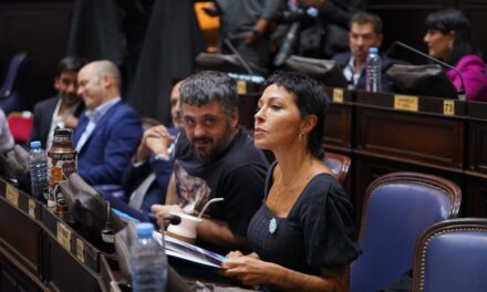 Mayra: “Me preocupa que como Gobernador no haya hecho referencia a la proscripción del peronismo con la detención ilegal de Cristina"