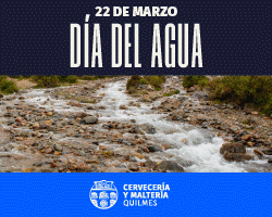 Día del agua