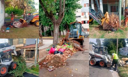 Siguen los trabajos de limpieza en los barrios de Berazategui