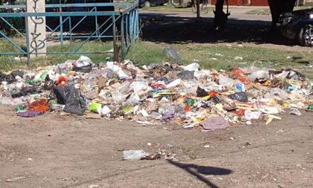 Estación de Bosques, en Varela, sigue la mugre: Nada cambió en 4 meses
