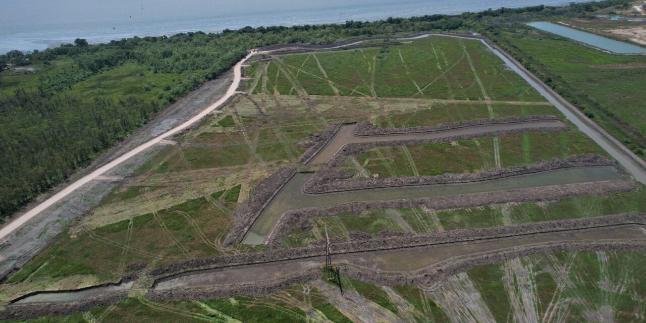 La Corte Bonaerense frenó las obras privadas en la Costa de Berazategui a pedido de los ambientalistas