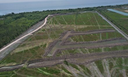 La Corte Bonaerense frenó las obras privadas en la Costa de Berazategui a pedido de los ambientalistas