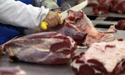 El consumo de carne cayó 10% en el 2026