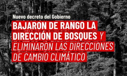 Una grave reestructuración de la Subsecretaría de Ambiente golpea al cambio climático y a los bosques