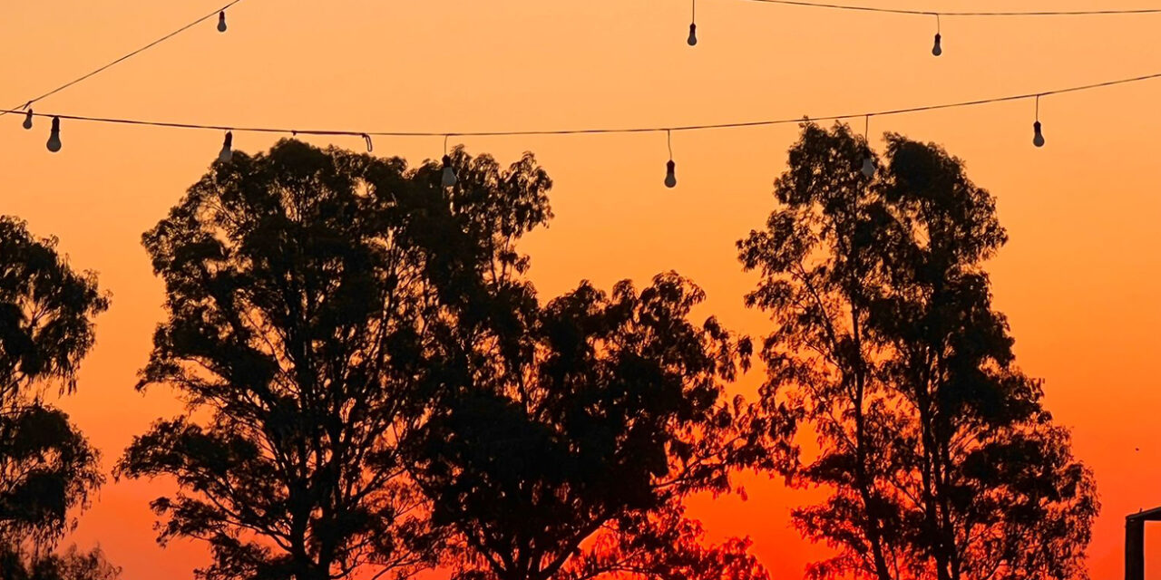 Turismo en la Provincia: Viaje por Isla Martín García, La Niña y Berutti