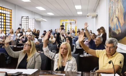 El HCD Lanús aprobó la creación del Consejo Consultivo Honorario en Discapacidad y nuevas medidas de alcance social y administrativo