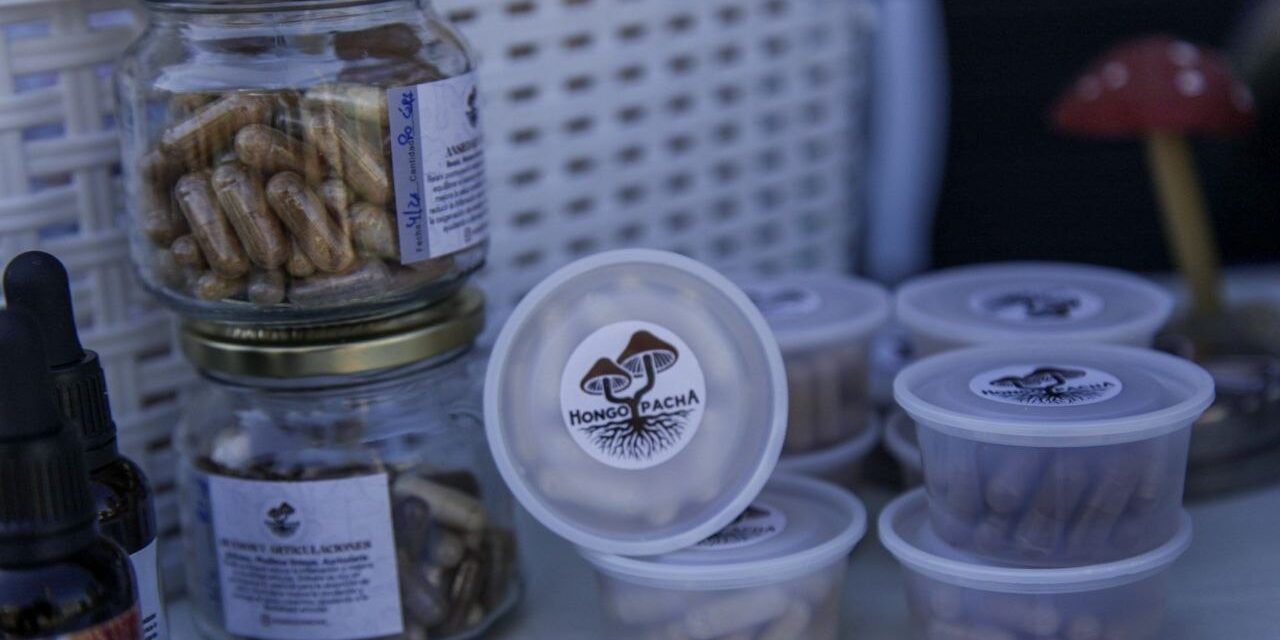 IMPULSAN UN MARCO REGULATORIO PARA POTENCIAR PRODUCCIÓN DE HONGOS COMESTIBLES EN PROVINCIA DE BUENOS AIRES