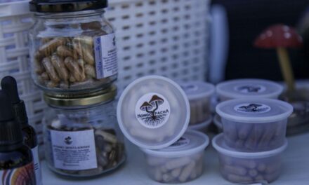 IMPULSAN UN MARCO REGULATORIO PARA POTENCIAR PRODUCCIÓN DE HONGOS COMESTIBLES EN PROVINCIA DE BUENOS AIRES
