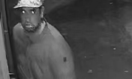 (VIDEOS) Denuncian a un acosador obsesionado que intenta ingresar a la casa de su víctima