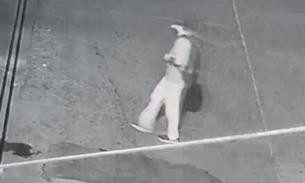 Crimen de la Biblioteca de Bernal: Detuvieron al presunto homicida