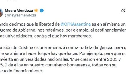 Mayra Mendoza reclamó por “Cristina Libre" y "por una educación universitaria pública, gratuita y de calidad”