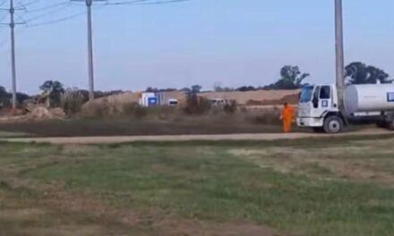 Amigos del Parque Pereyra Iraola juntan fondos para que una autopista no los pase por arriba