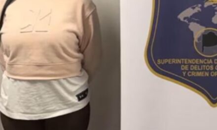 Detuvieron a una mujer acusada de liderar una banda narco en el sur del Coburbano