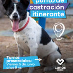 Lanús Gobierno llevará adelante nuevos puntos de castración a mascotas en Valentín Alsina