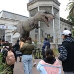 Ecoparque: Cobrarán entrada a turistas, pero el ingreso seguirá siendo gratuito para los porteños