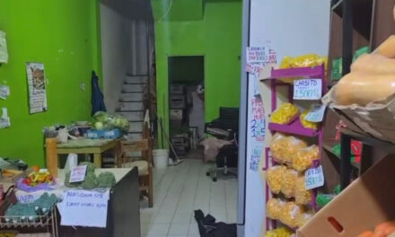 La Ciudad rescató a tres menores víctimas de una red de trata y explotación laboral en verdulerías de Belgrano y el conurbano