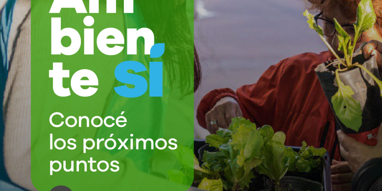 Lanús Gobierno realizará otra edición del operativo ¡Ambiente Sí!