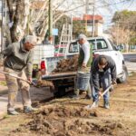 Lanús Gobierno comenzó la refacción integral y puesta en valor de la plaza José Hernández