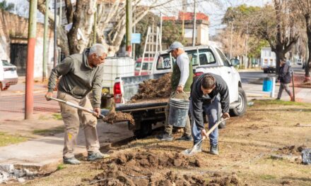 Lanús Gobierno comenzó la refacción integral y puesta en valor de la plaza José Hernández