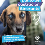 Lanús Gobierno da nuevos turnos presenciales para acceder al servicio de castración itinerante y gratuito de mascotas