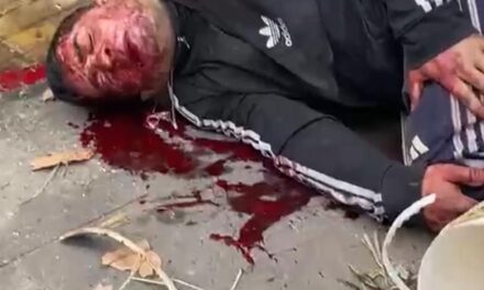 Robaba cables en Quilmes Centro, se electrocutó, cayó de altura, y VIVE!!!