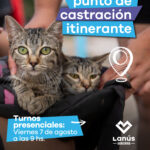 Nuevo punto de castración gratuito, ahora en Lanús Oeste