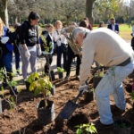 En CABA hubo una emotiva plantación de árboles para homenajeea a los donantes de órganos y sus familias