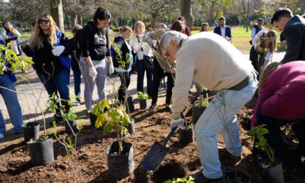 En CABA hubo una emotiva plantación de árboles para homenajeea a los donantes de órganos y sus familias