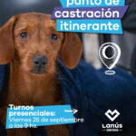 Lanús Gobierno realizará otros dos puntos de Castración Itinerante en Escalada