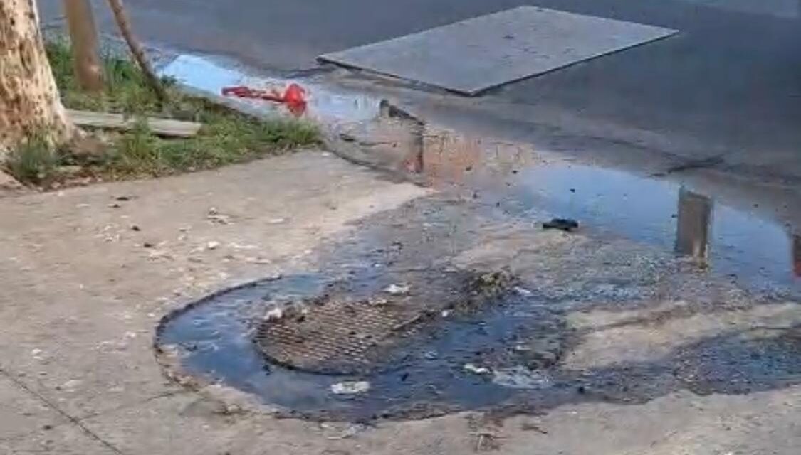 AYSA sin respuestas a vecinos: Desbordes cloacales y olores nauseabundos en pleno Quilmes