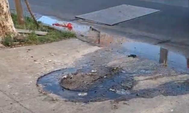 AYSA sin respuestas a vecinos: Desbordes cloacales y olores nauseabundos en pleno Quilmes