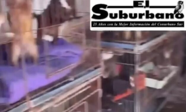 (Tremendo Video) Maltrato animal en Florencio Varela