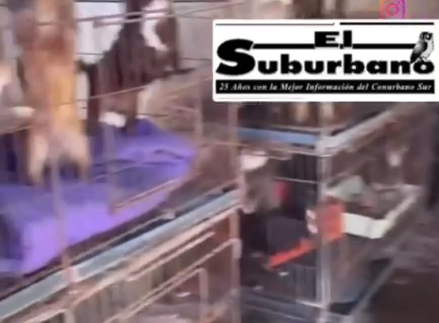 (Tremendo Video) Maltrato animal en Florencio Varela