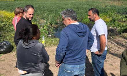Quilmes: La Comuna realiza trabajos de limpieza integral y preventivos ante el alerta por tormentas