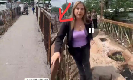 Video / ¿La Campaña que se viene?: Concejal libertaria mostró un puente roto y un militante la expuso