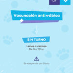 Nuevas castraciones gratuitas de perros y gatos en el Quirófano Móvil de Lanús Gobierno