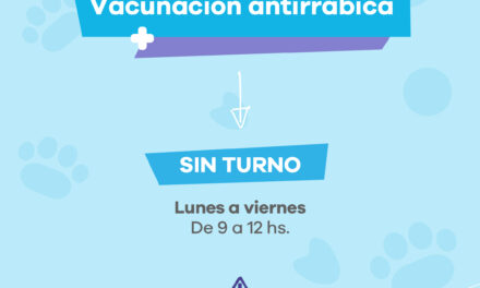 Nuevas castraciones gratuitas de perros y gatos en el Quirófano Móvil de Lanús Gobierno