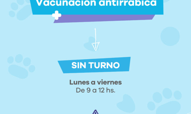 Nuevas castraciones gratuitas de perros y gatos en el Quirófano Móvil de Lanús Gobierno