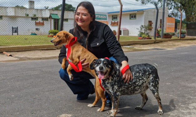 De esperar una familia a tener un hogar: La historia de Pinta y Nela