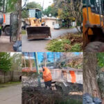 Nuevos operativos de limpieza integral en Berazategui