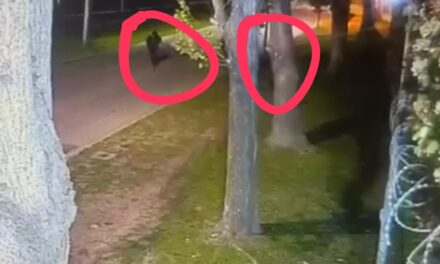 Videos del extraño robo a una vivienda alquilada y deshabitada en Las Acacias de Hudson