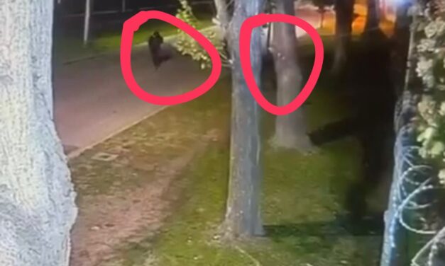 Videos del extraño robo a una vivienda alquilada y deshabitada en Las Acacias de Hudson