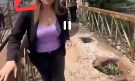 VIDEOS, MENTIRAS Y CARROÑA